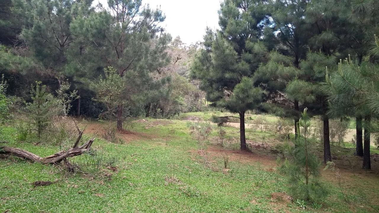 Chale Estancia Ouro Verde Lages Bagian luar foto