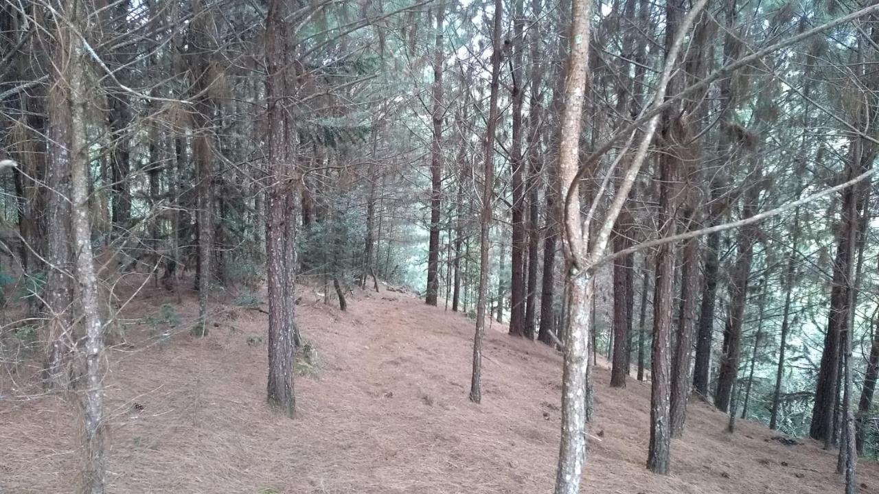 Chale Estancia Ouro Verde Lages Bagian luar foto