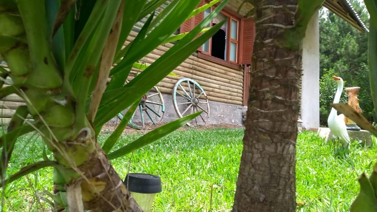 Chale Estancia Ouro Verde Lages Bagian luar foto